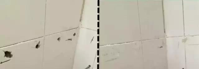 1585811184979114.png